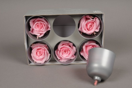 Boîte de 6 roses stabilisées roses
