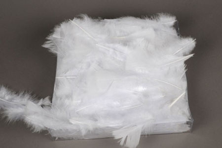 Boîte de plumes blanches 45g
