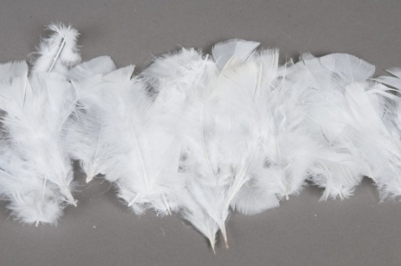 Boîte de plumes blanches 45g