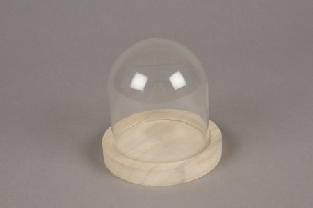 Cloche en verre avec plateau bois D10cm H10cm