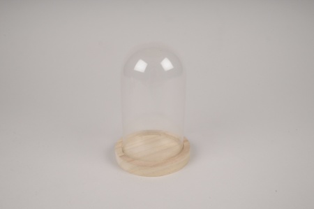 Cloche en verre avec plateau bois D10cm H16cm