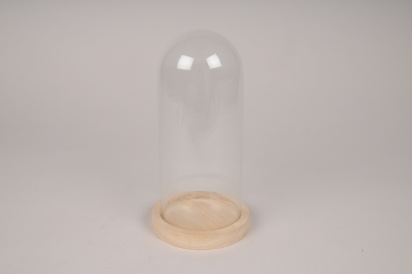 Cloche en verre transparente avec socle en bois H 19cm
