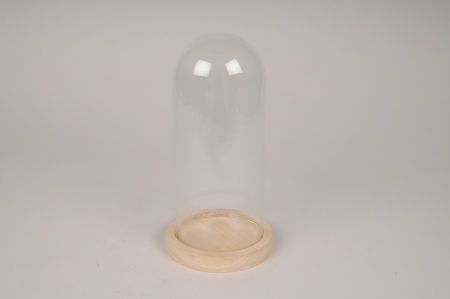Cloche en verre avec plateau bois D10cm H19cm