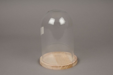 Cloche en verre avec plateau bois D14cm H20cm