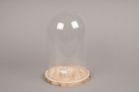 Cloche en verre avec plateau bois D17cm H24cm