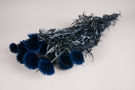 Echinops préservé bleu H65cm