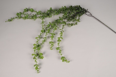 Eucalyptus artificiel vert L112cm