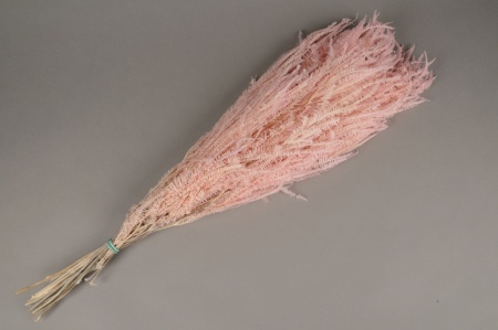 Fougère stabilisée rose pâle H75cm