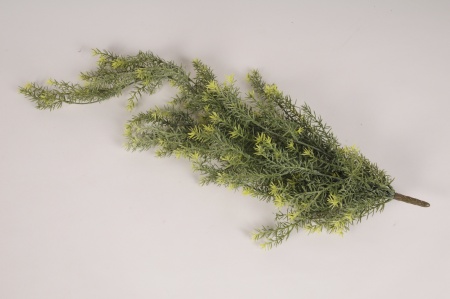 Asparagus artificiel vert L76cm