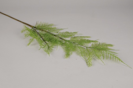 Asparagus plumosus artificiel vert H83cm