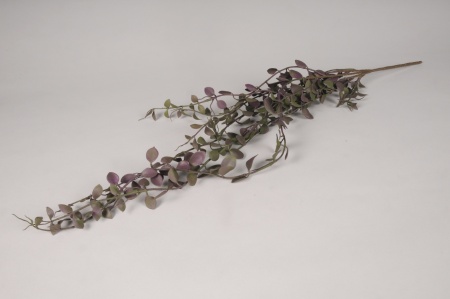 Callisie rampante artificielle violet foncé L80cm