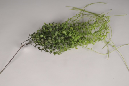 Dischidia artificiel vert L90cm