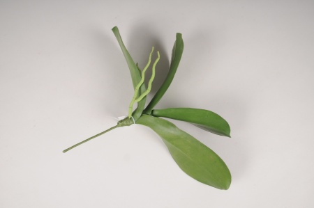 Feuilles de phalaenopsis artificielles vertes H35cm