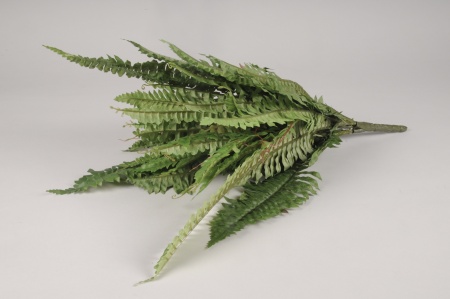 Fougère artificielle verte H65cm