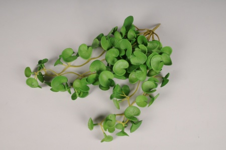 Pépéromia artificiel vert L33cm