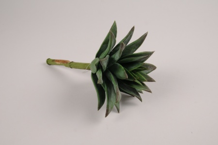 Succulente artificielle verte H18cm
