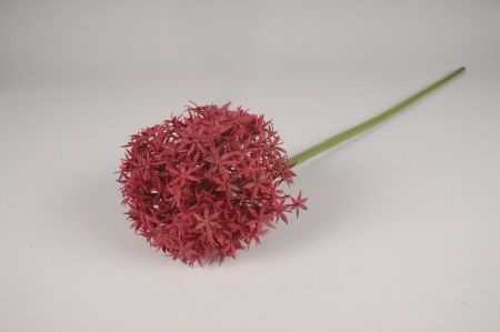 Allium artificiel bordeaux H80cm