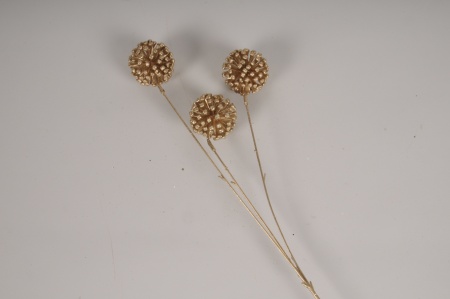 Allium artificiel doré H53cm