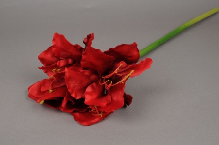 Amaryllis artificiel rouge H64cm