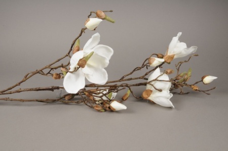 Branche de magnolia artificielle crème H105cm
