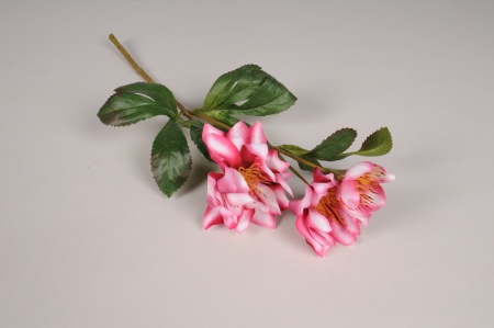Hellébore artificielle rose et blanche H38cm