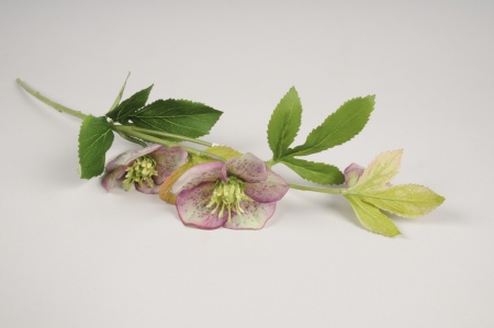Hellébore artificielle rose H52cm