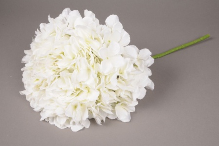 Hortensia artificiel blanc H45cm