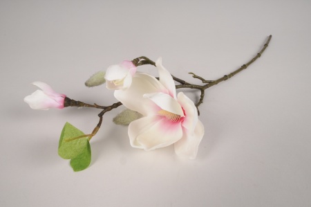 Magnolia artificiel blanc et rose H50cm