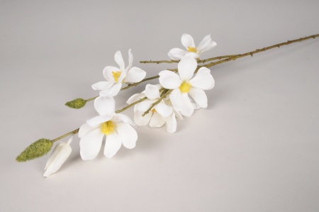 Magnolia artificiel blanc H80cm