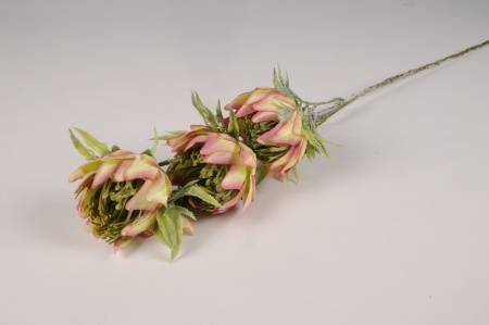 Protea artificiel vert et rose H70cm