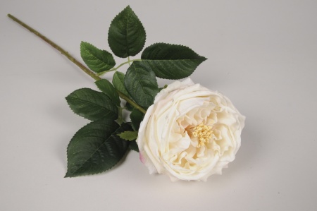 Rose ancienne artificielle crème H60cm