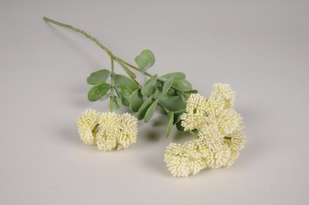 Sedum artificiel crème H55cm