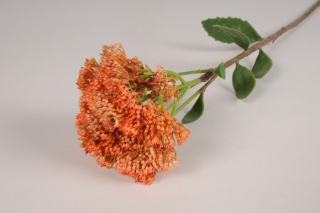 Sedum artificiel orange H60cm