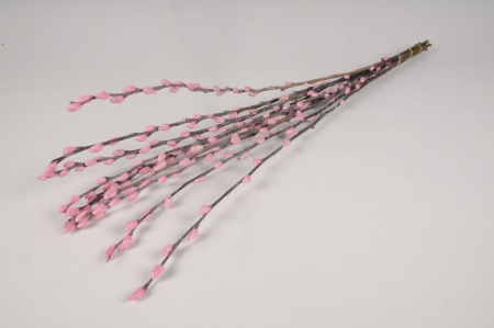 Chatons de saule séchés roses H70cm