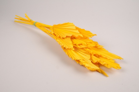 Palm spear séché jaune H58cm