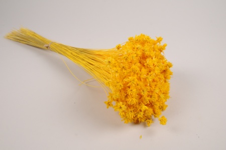 Fleurs des collines séchées jaunes H45cm