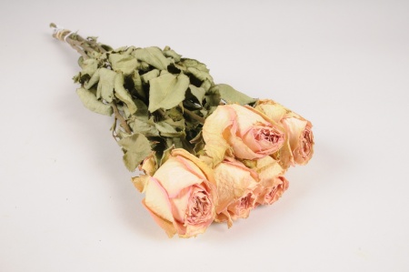 Roses séchées rose clair H50cm