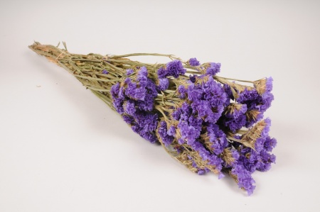 Statice séché violet H70cm