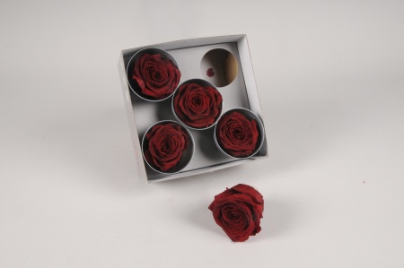 Boîte de 5 roses stabilisées bordeaux