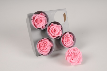 Boîte de 5 roses stabilisées roses