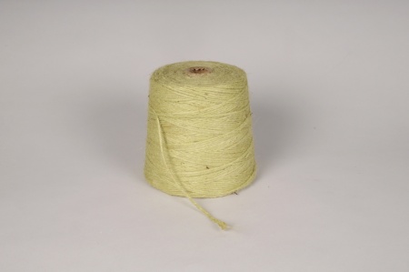Rouleau fil de jute vert clair D2mm