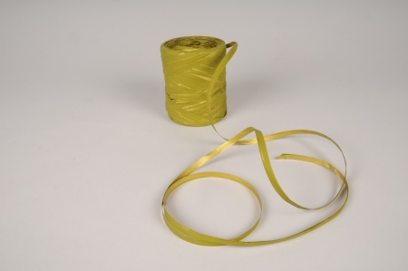 Bobine de raphia Noël vert olive et or 200m