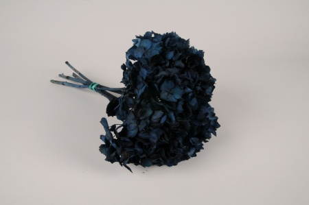 Hortensia préservé bleu nuit H33cm