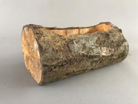 Jardinière bûche en bois 13cm x 25cm H10.5cm