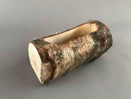 Jardinière bûche en bois 11cm x 20cm H8.5cm