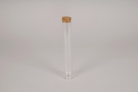 Boîte de 6 pipettes en verre D3cm H20cm