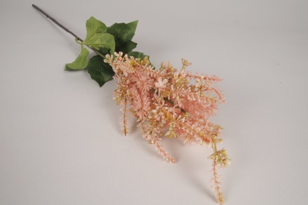 Astilbe artificielle rose H60cm