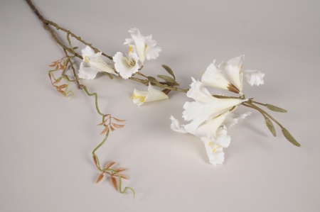 Handroanthus artificiel blanc H85cm