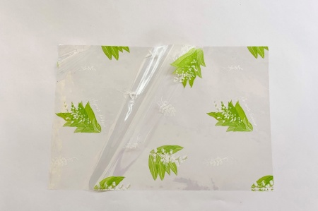 Rame de 250 feuilles de cellophane 20x30cm