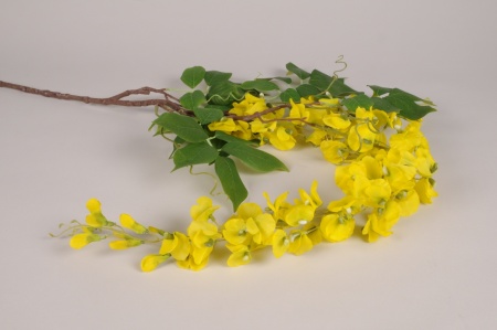 Glycine artificielle jaune L142cm